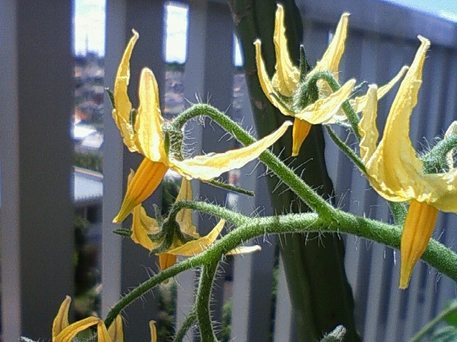 f0018790_917149.jpg