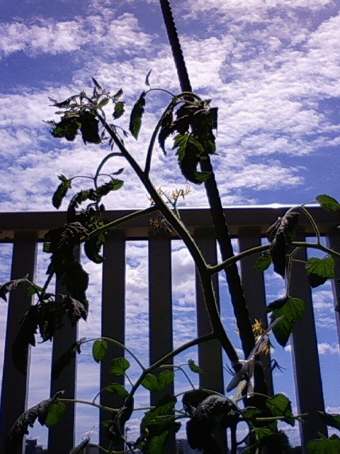 f0018790_9181563.jpg