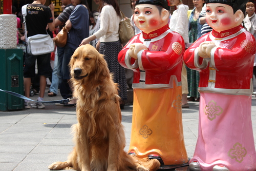 a0234491_21185220.jpg