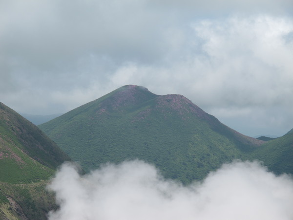 a0166196_13105445.jpg
