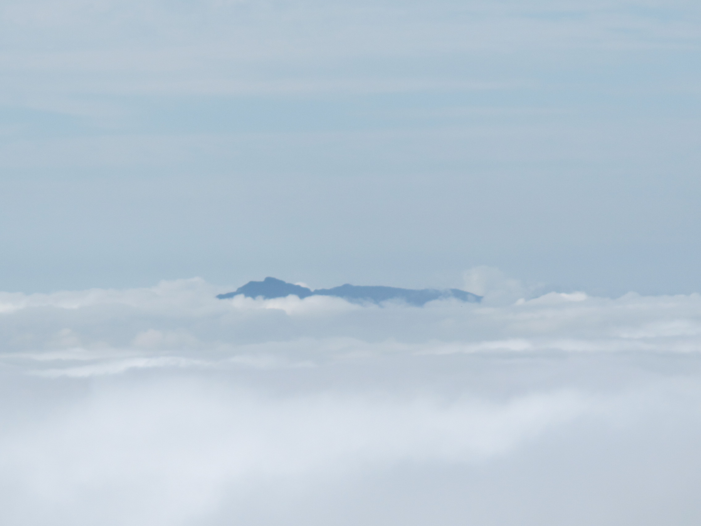 a0166196_1353637.jpg