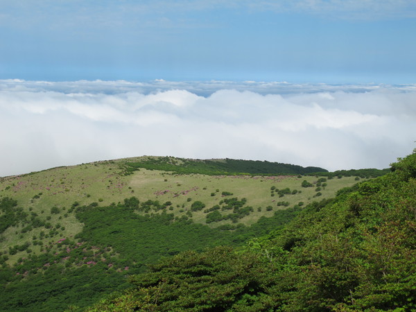 a0166196_1365661.jpg