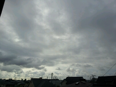 d0239796_6295034.jpg