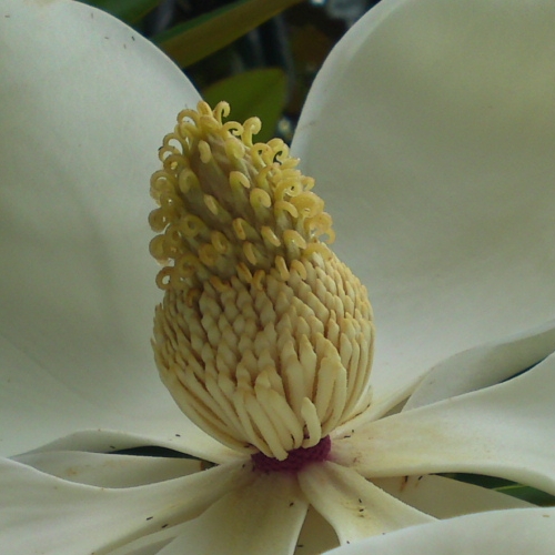 a0031000_11202190.jpg