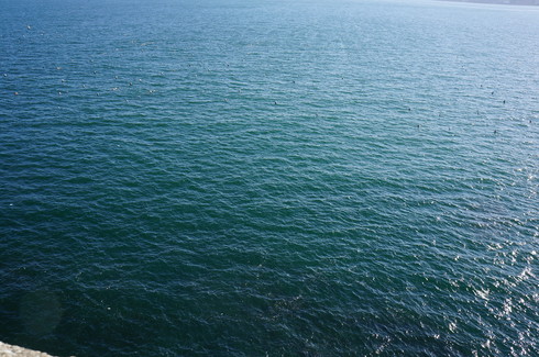 b0238507_2234719.jpg