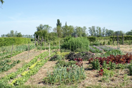 f0144707_2042013.jpg