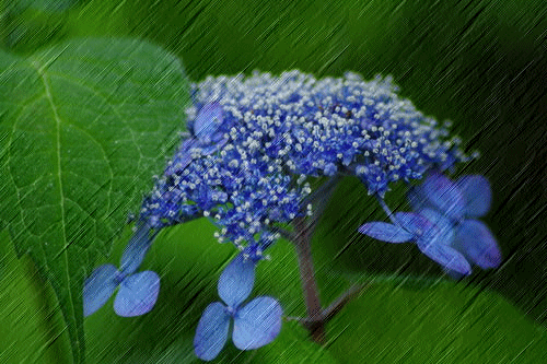 b0052108_14184611.gif