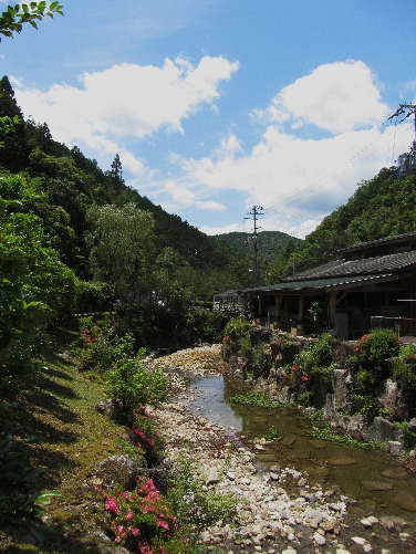 d0154609_1118484.jpg