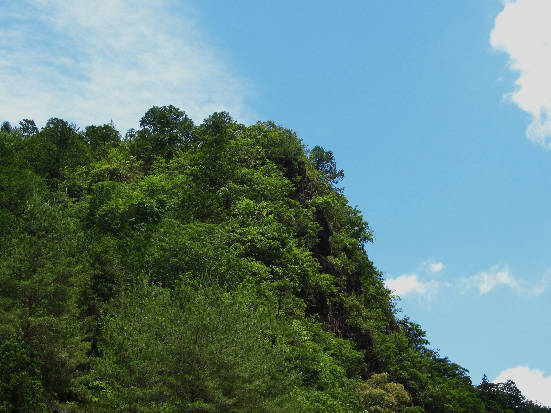 d0154609_11213593.jpg
