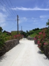 f0142821_15443095.jpg