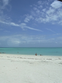 f0142821_15571142.jpg