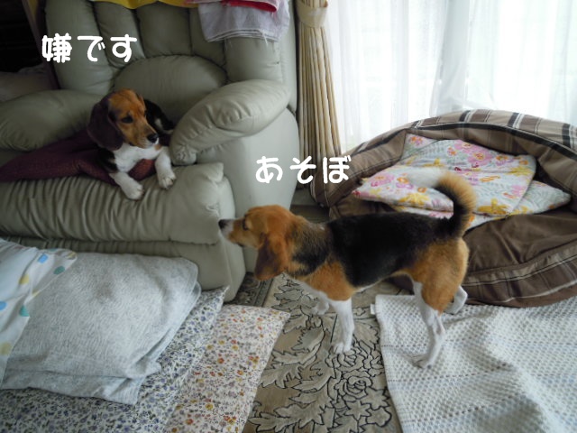 c0166622_16371775.jpg