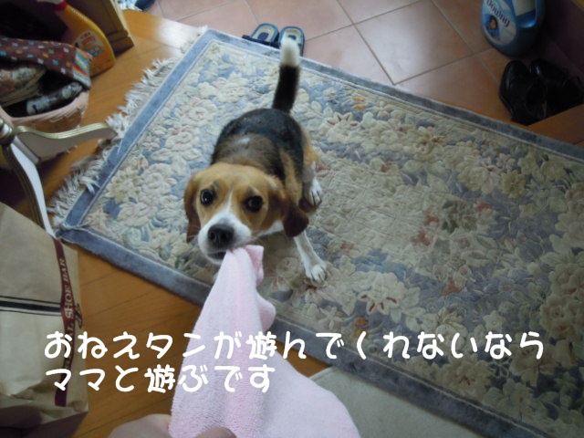 c0166622_16382373.jpg
