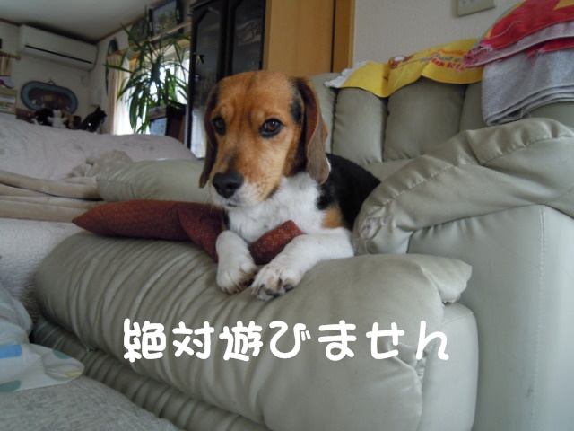 c0166622_163854.jpg