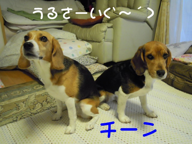 c0166622_1639714.jpg