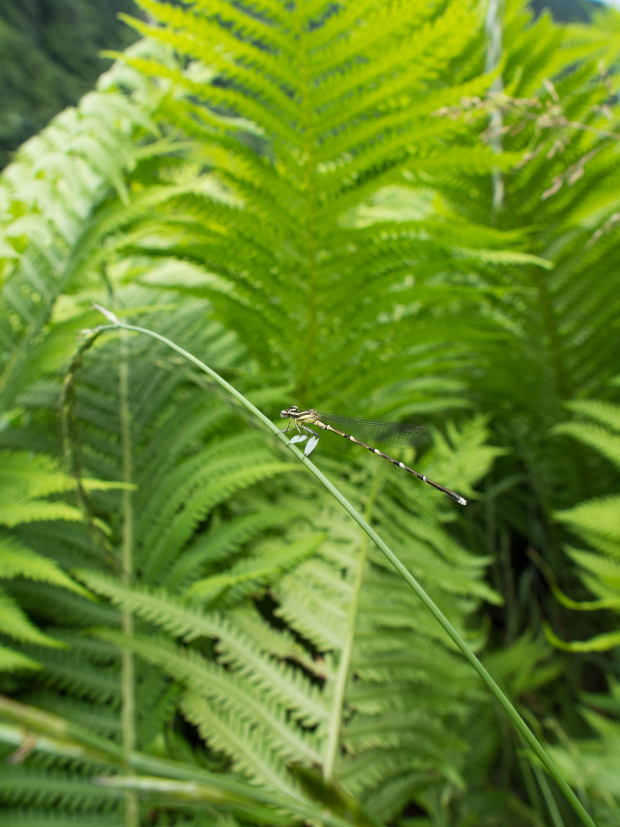 c0021726_2273281.jpg
