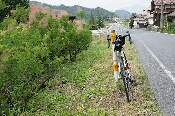 f0007926_12525215.jpg