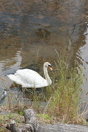 f0007926_12562431.jpg
