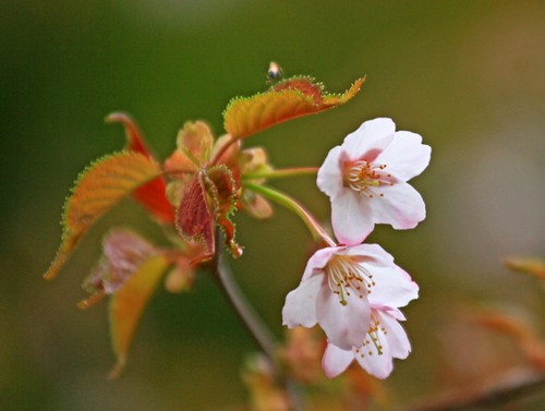 c0104227_18562276.jpg