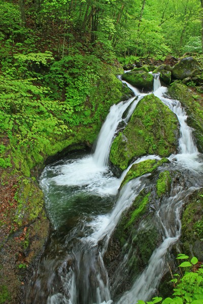 c0104227_20565157.jpg