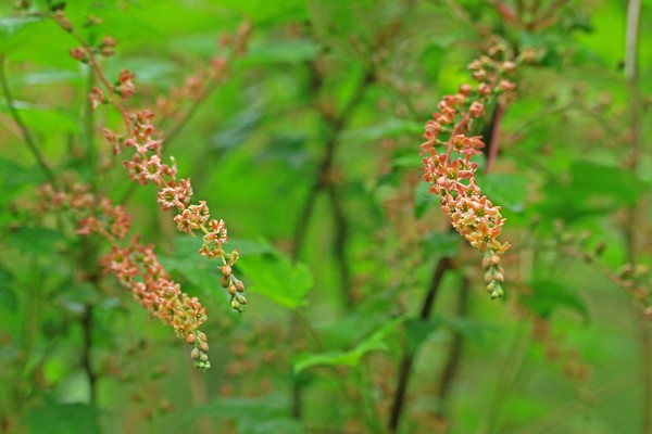 c0104227_235384.jpg
