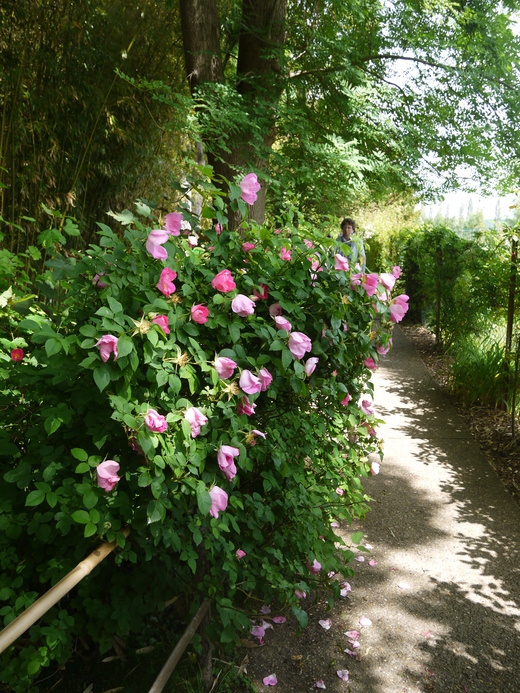 b0093830_19425739.jpg