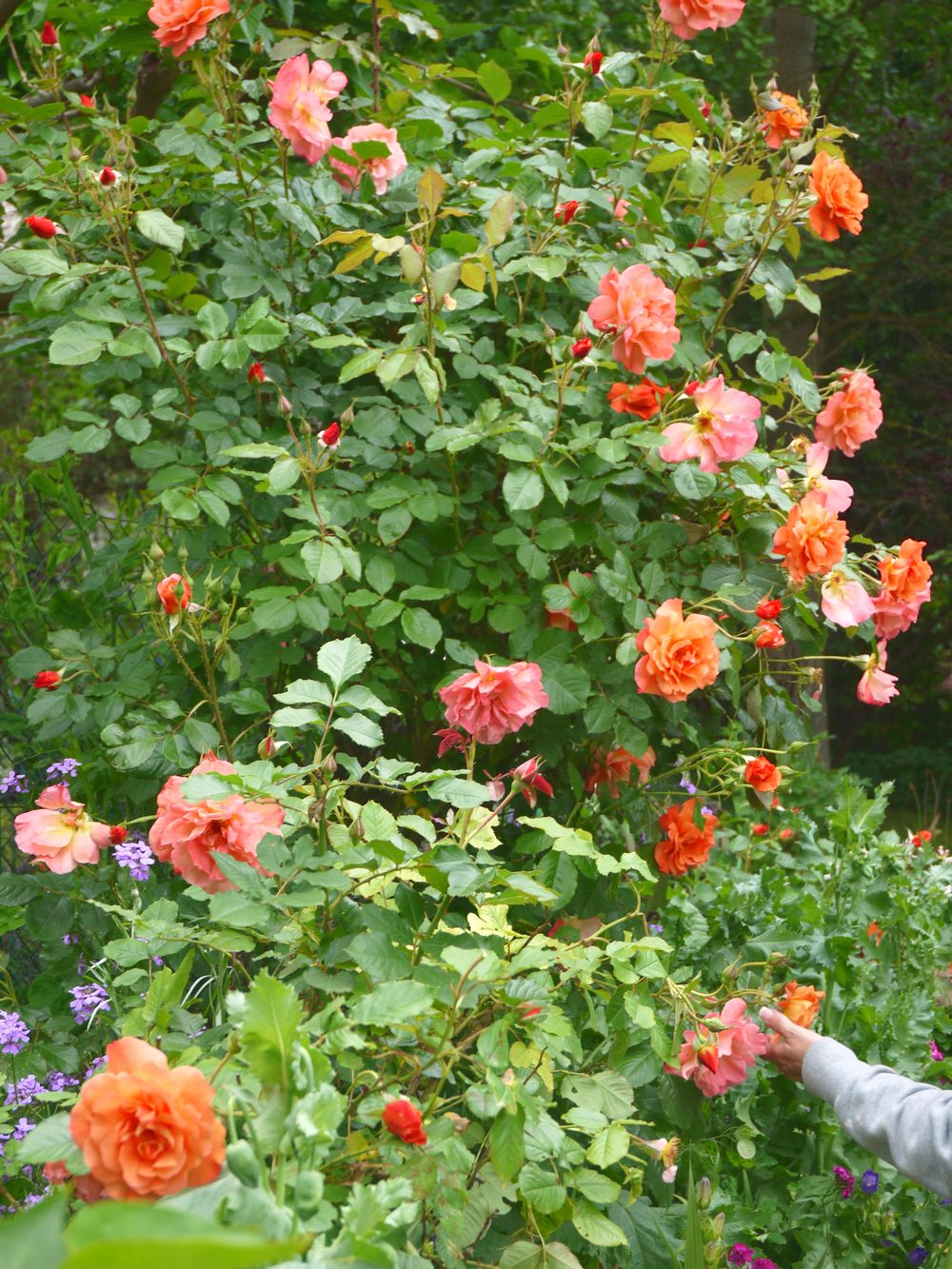 b0093830_1952322.jpg