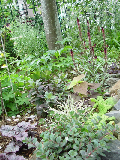 f0060535_16441318.jpg