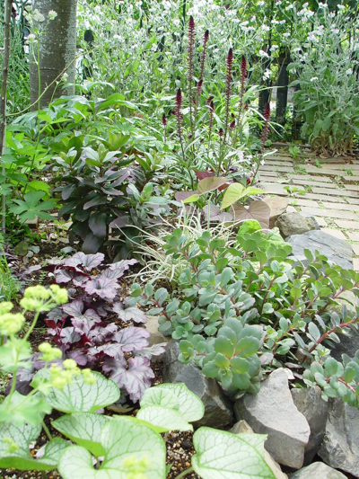 f0060535_17325045.jpg