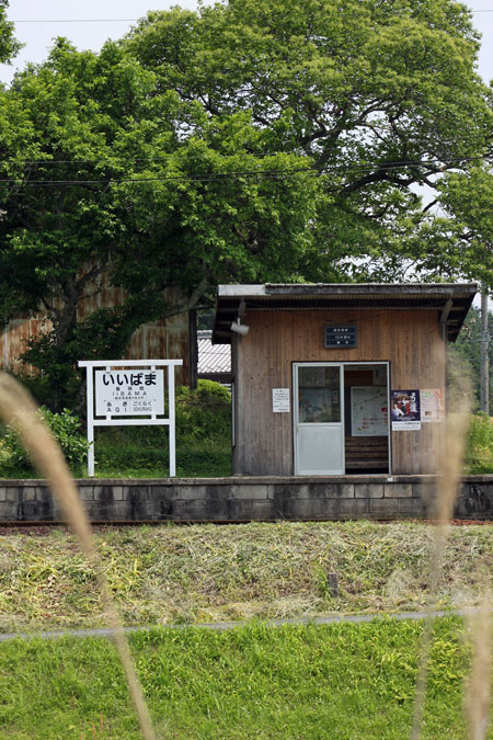 f0153140_8501750.jpg