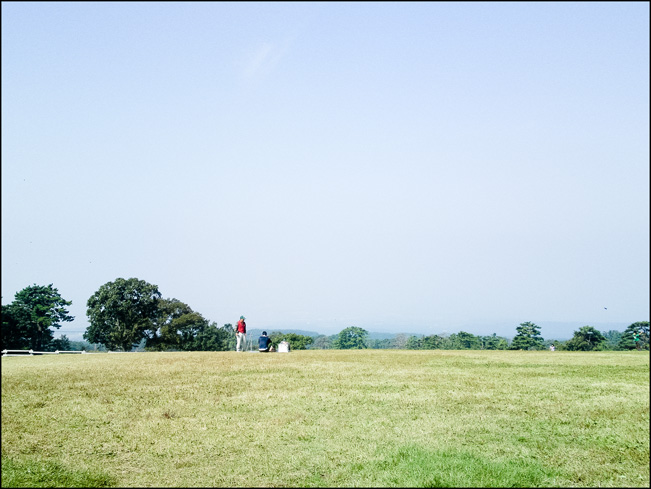 e0136745_1865129.jpg