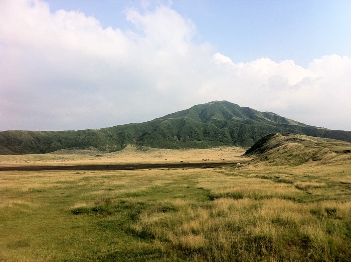 b0002156_7451065.jpg