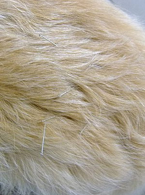 c0097558_10441551.jpg