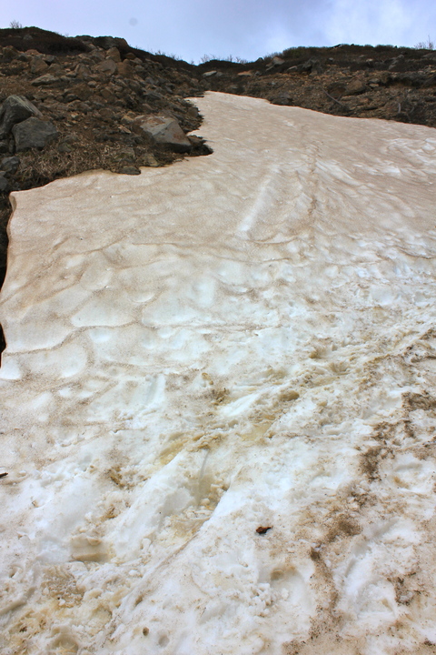 a0248459_4362569.jpg