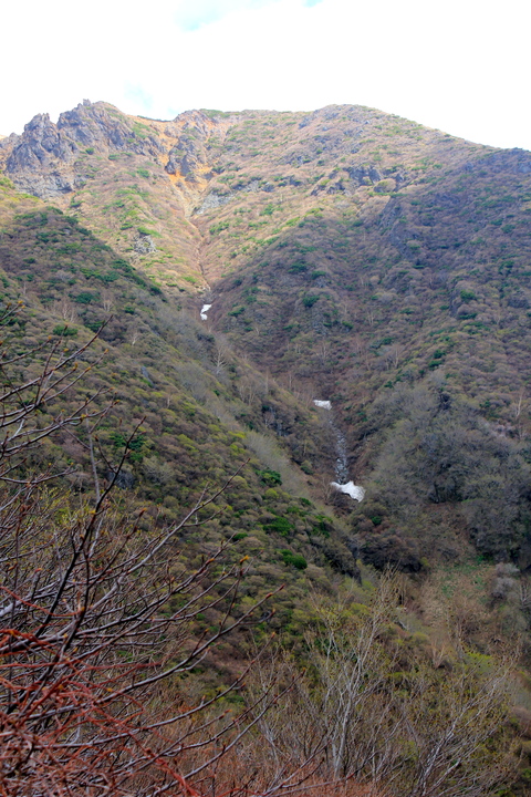 a0248459_4372628.jpg