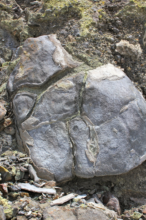 a0248459_452984.jpg