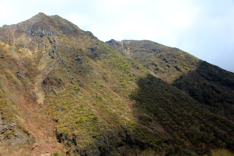 a0248459_4533097.jpg