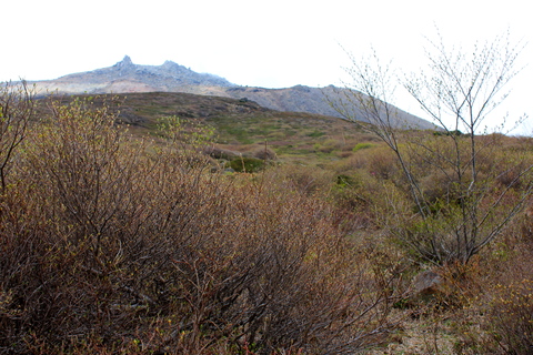 a0248459_4544753.jpg