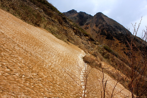 a0248459_4561995.jpg