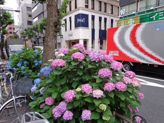 b0061261_2119919.jpg