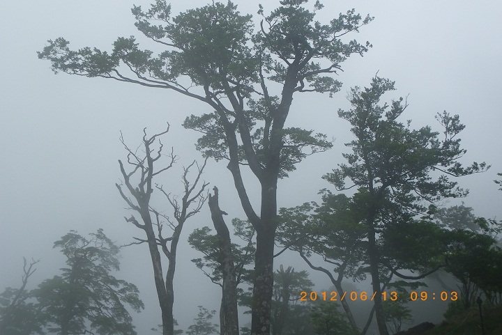 f0016066_15364328.jpg
