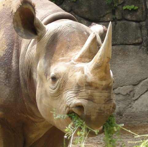 e0266067_2105948.jpg