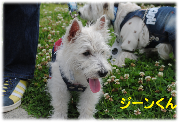 b0242873_1202550.png