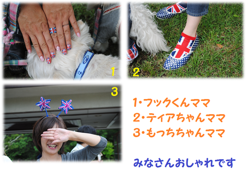 b0242873_1223959.png