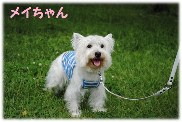 b0242873_1233549.png