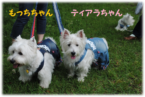 b0242873_1233785.png