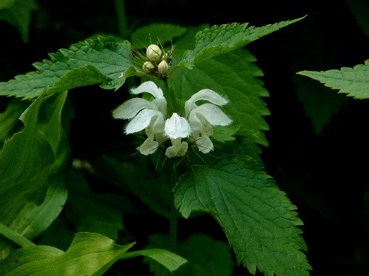 d0084473_2215426.jpg