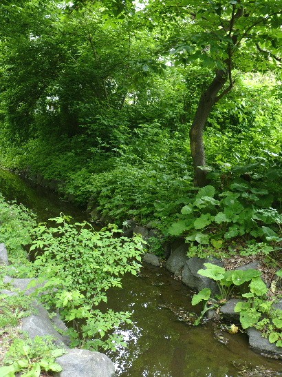 d0084473_2216162.jpg