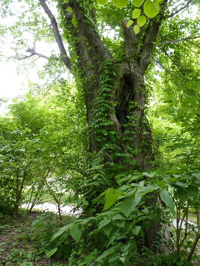 d0084473_22162699.jpg