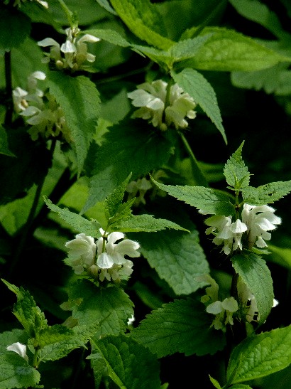 d0084473_2216766.jpg
